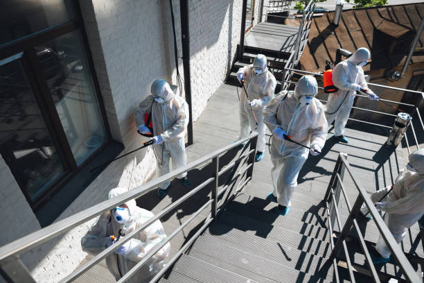 Best Asbestos and Lead Testing During Mold Inspection  in Cedar Point, NC