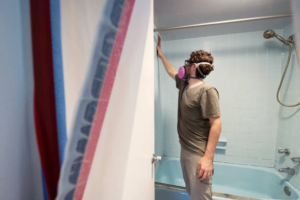 Cedar Point, NC Mold Removal Company