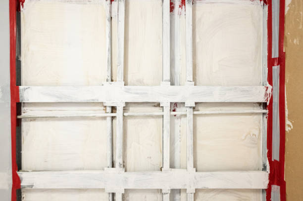 Best Mold Odor Removal Services  in Cedar Point, NC