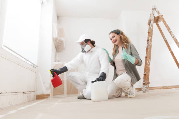 Best Black Mold Removal  in Cedar Point, NC